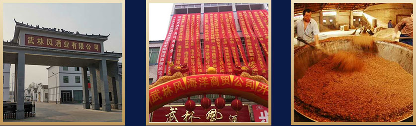 企业简介